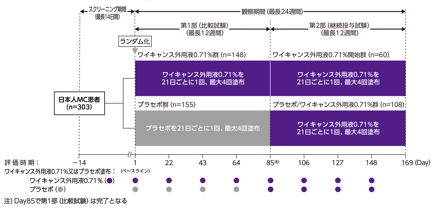 試験概要 | 日本人伝染性軟属腫患者を対象とした国内第Ⅲ相比較試験